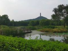 -北坞公园