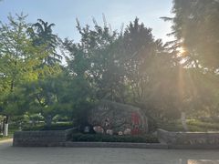 -莲湖公园