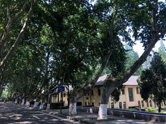 -T80科技文化国际社区-停车场