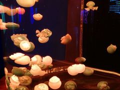 -多彩贵州城极地海洋世界