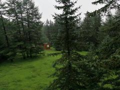 -芦芽山旅游度假区