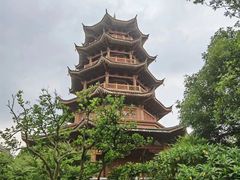 -贵州百里杜鹃风景名胜区