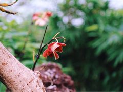 -南通洲际绿博园