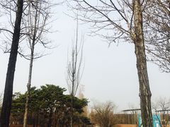 -仙游岛公园
