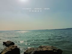 -丁香湖公园