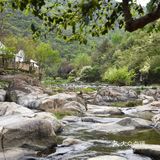 武汉黄陂姚家山，湿地生态香溪谷
