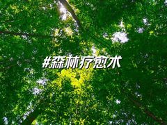 -桤木河湿地公园