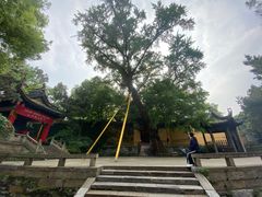 -无锡惠山寺