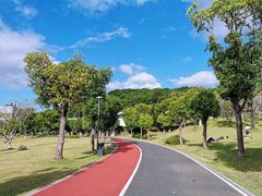 -牛岗山公园