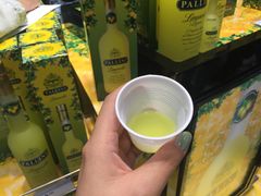 -米兰马尔彭萨国际机场