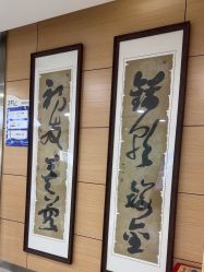 -重庆联合丽格美容医院