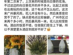 -百万葵园