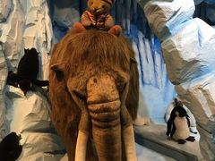 -济州岛泰迪熊博物馆