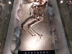 -巴音郭楞蒙古自治州博物馆