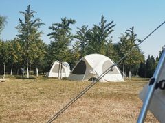 -永定河休闲森林公园