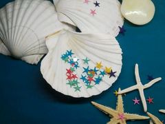 -青岛贝壳博物馆
