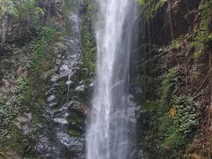 -莫里热带雨林景区