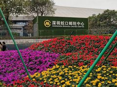 -招商蛇口邮轮母港(观光客运)