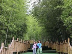 -陶祖圣境风景区