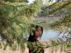 -蒲河岛湿地公园