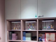 -索菲亚衣柜橱柜全屋定制(真北红星店)