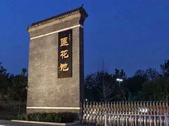 -莲花池公园