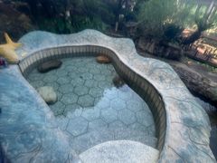 -明月山天沐温泉度假村