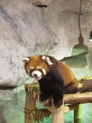 -Zoolung Zoolung动物主题公园(海信广场店)