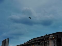 -上海雅居乐万豪侯爵酒店