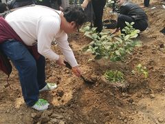 -前小桔亲子创意农场·草莓采摘·露营烧烤