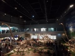 -自贡恐龙博物馆