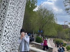 -丁香湖公园