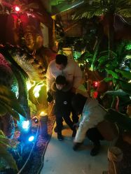 -恐龙探索乐园(磁器口店)