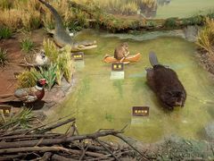 -陕西自然博物馆