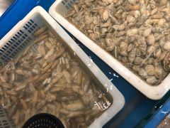 -星伦多海鲜自助餐厅(万达百货店)