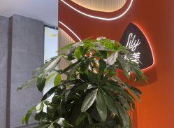-Lily纤美·科技减脂中心
