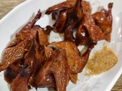 -东鸽皇(奥园·中环广场店)