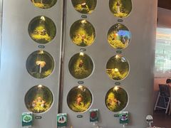 -野·大山里土鸡火锅(万科里店)
