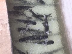 -姥家大锅台水库渔家