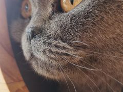 -宝龙广场(蓬莱区)