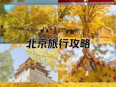 -颐和园