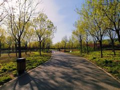 -东郊湿地公园