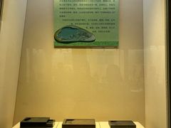 -安徽省地质博物馆