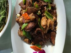 -红高粱大酒店(宁山东路店)