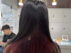 -镁连社·美联社