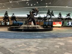 -青岛胶东国际机场