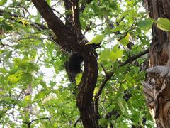 -长白岛森林公园