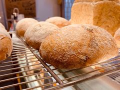 -面包与我Bread Or Me(长城汇店)