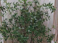 -YCHL FIT健身(前海周大福店)
