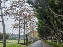 -顺峰山公园